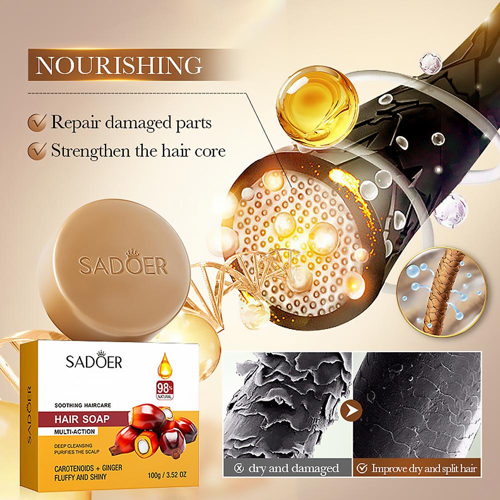Sabun Sampo Jahe Alami untuk R - Bar Soap Shampoo Solid ulasan dan harga