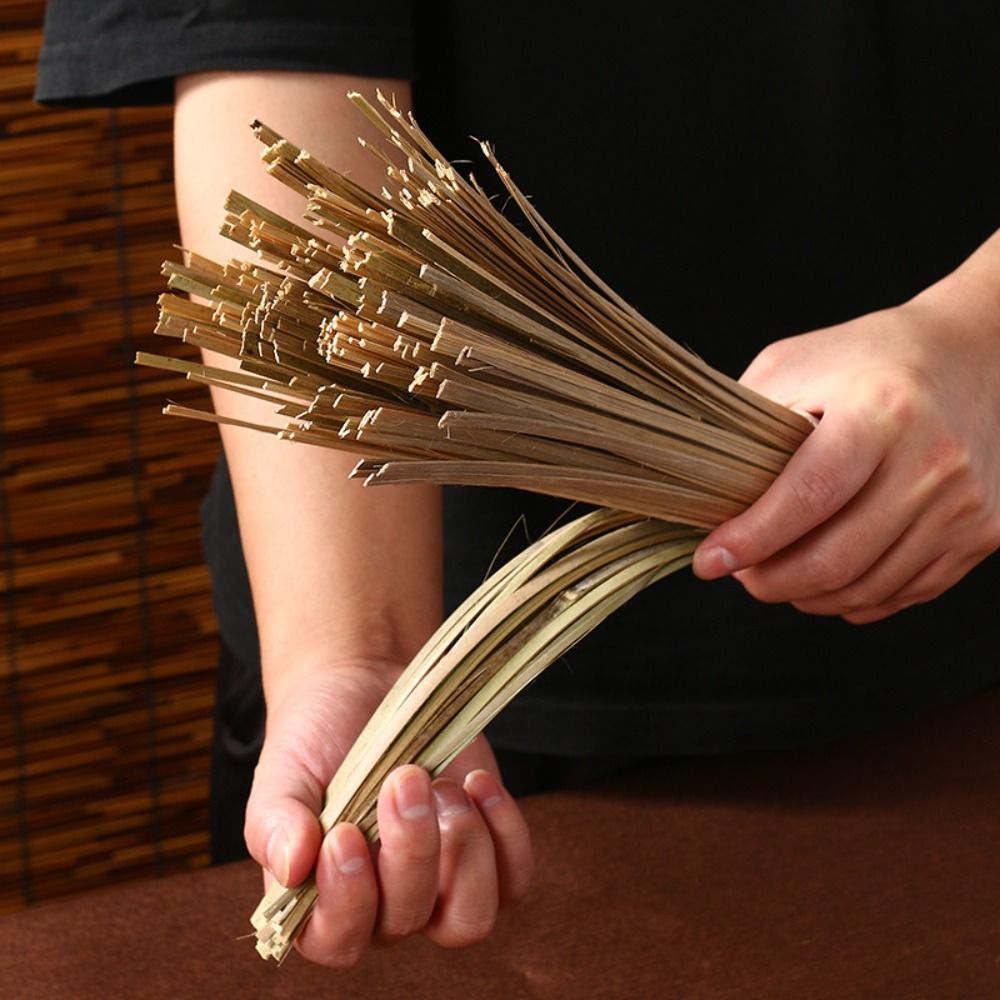 Alat Pembersih Rumah Tangga Tr - Dish Brush Bamboo ulasan dan harga