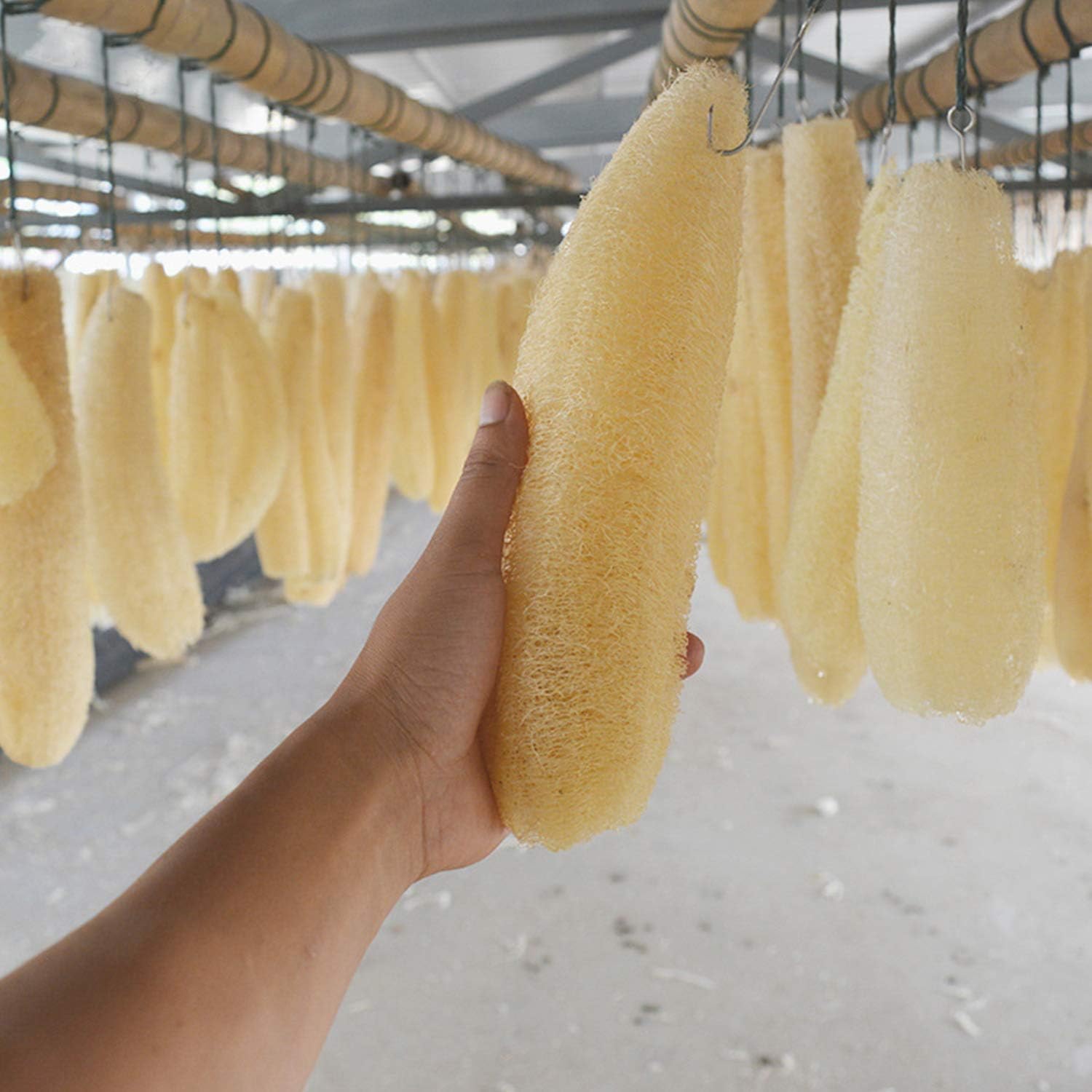 3pcs Spons Loofah Alami untuk  - Dish Brush Bamboo ulasan dan harga